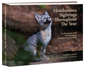 Mendonoma_Sightings_Throughout_The_Year_cover