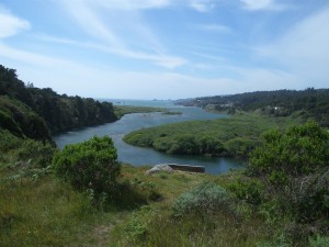 The closed Gualala River (Large)