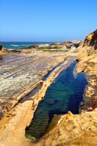 Low tide at the Point Arena - Stornetta Lands by Paula Power