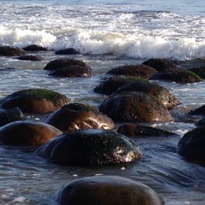 Sunset at Bowling Ball Beach by Rozann Grunig