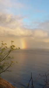 Sea Rainbow by Nancy Padgett