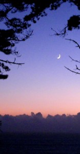 Friday's crescent moon by Cathleen Crosby