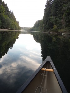 Kayaking on the Gualala River by Linda Bostwick
