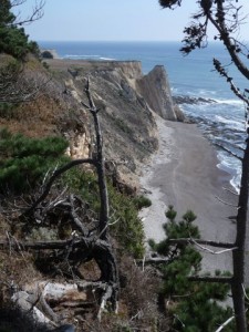 Another view of Pelican Bluff by Peter Reimuller