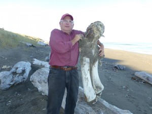 Don Phillips with a Whale bone by Mel Smith (Large)