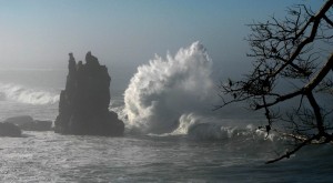 Surf's up by Richard Hansen