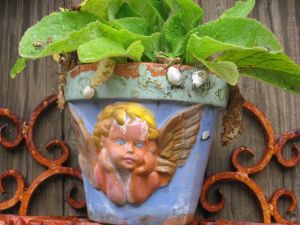 Flower pot with Pacific Tree Frog by  Adrian Bennett