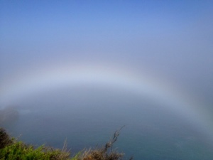 Fogbow by Azita Jackman