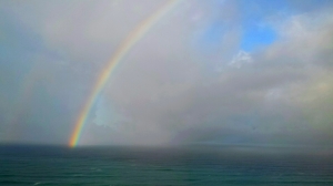 Rainbow by Gary Levenson-Palmer