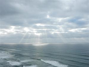 Sunbeams on the ocean by Bettye Winterrs (Large)