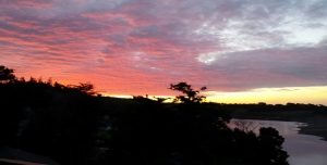 Sunrise reflected in the Gualala River by Teresa Denniston