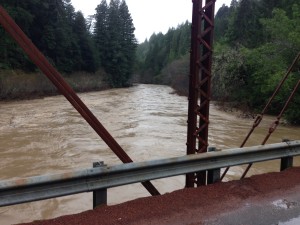 The raging Wheatfield Fork of the Gualala River by Peter Cracknell