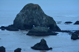 Who's looking at you - a rock in Jenner by Peter Cracknell