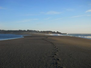Footsteps in the sand by Beverly Naso