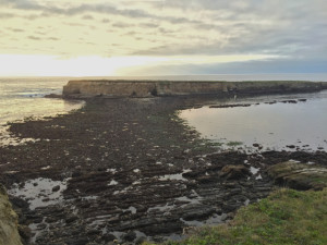 Minus tide at the Point Arena Stornetta Lands by Margaret Lindgren