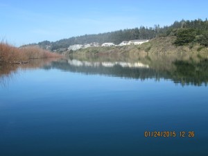 A full Gualala River by Irend Leidner