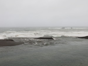 Gualala River opened Saturday Feb.7 by Mike Mee