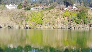 The full Gualala River lagoon by Peter Cracknell