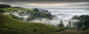 Fog at Fort Ross by Paul Kozal