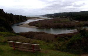 Gualala River Estuary in Bud by Robert Scarola