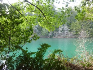 Gualala River in February by Harmony Susalla