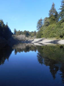 Kayaking in the Gualala River by Karen Tracy