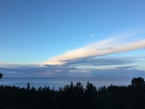 Before the morning thunderstorm by Jeanne Jackson