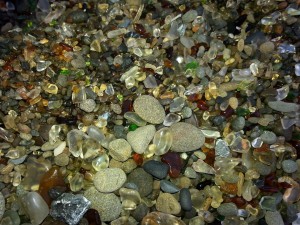 Glass Beach by Susan Bechtel (Large)