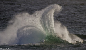 Little River Wave by Ron LeValley