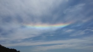 Fire Rainbow at Anchor Bay Beach by Donna Woodbury