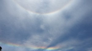 Halo around the sun and a fire rainbow at Anchor Bay Beach by Donna Woodbury