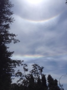 Halo around the sun and a fire rainbow by Christina Chapman