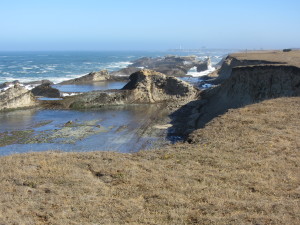 Southern portion of the PA-Stornetta Lands at low tide by Terry Pfardresher