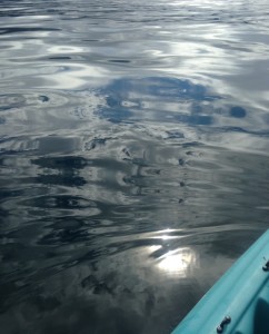 The Pacific Ocean was like a lake by Catherine Miller