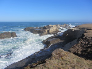 The rocky shoreline of the Point Arena-Stornetta Lands by Terry Pfardresher