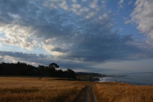 100 miles north of San Francisco and a million miles from Silicon Valley by Maureen Simons (Large)