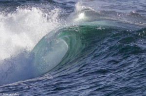 June Little River Wave by Ron LeValley