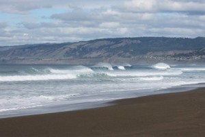 Waves at Manchester Beach by Beth Petit