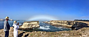 Fogbow by Margaret Lindgren