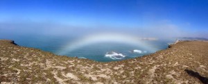 September Fogbow by Margaret Lindgren