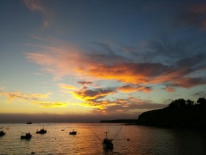 Sunset at Arena Cove by Joan Hoffman