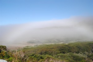 Fogbow 8.27.13 by Jeanne Jackson (Medium)