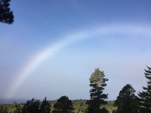 Fogbow by Jeanne Jackson