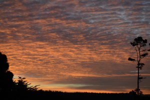 Friday morning's beautiful sunrise by Don Spear