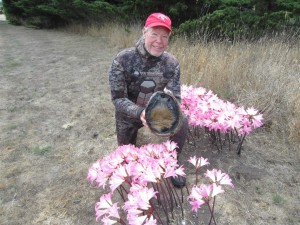Jack Likins finds a big Abalone by Roger Rude (Large)