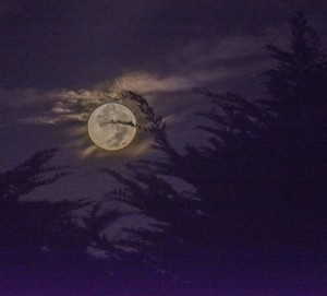 The setting Super Moon 9-27-15 by Paul Brewer