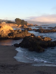 Shell Beach by Amy Ruegg