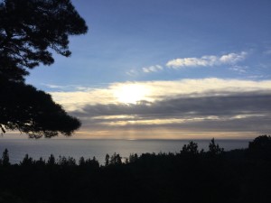 Sunbeams on the ocean by Jeanne Jackson