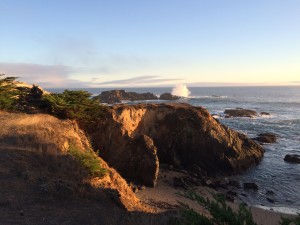 View at Shell Beach by Amy Ruegg