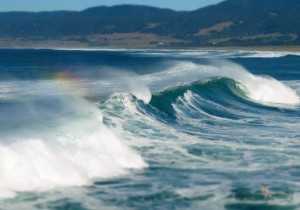 A Rainbow Wave by Margaret Lindgren